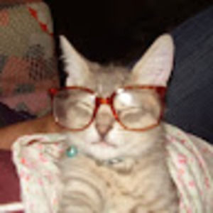 Meet your Posher, Haley